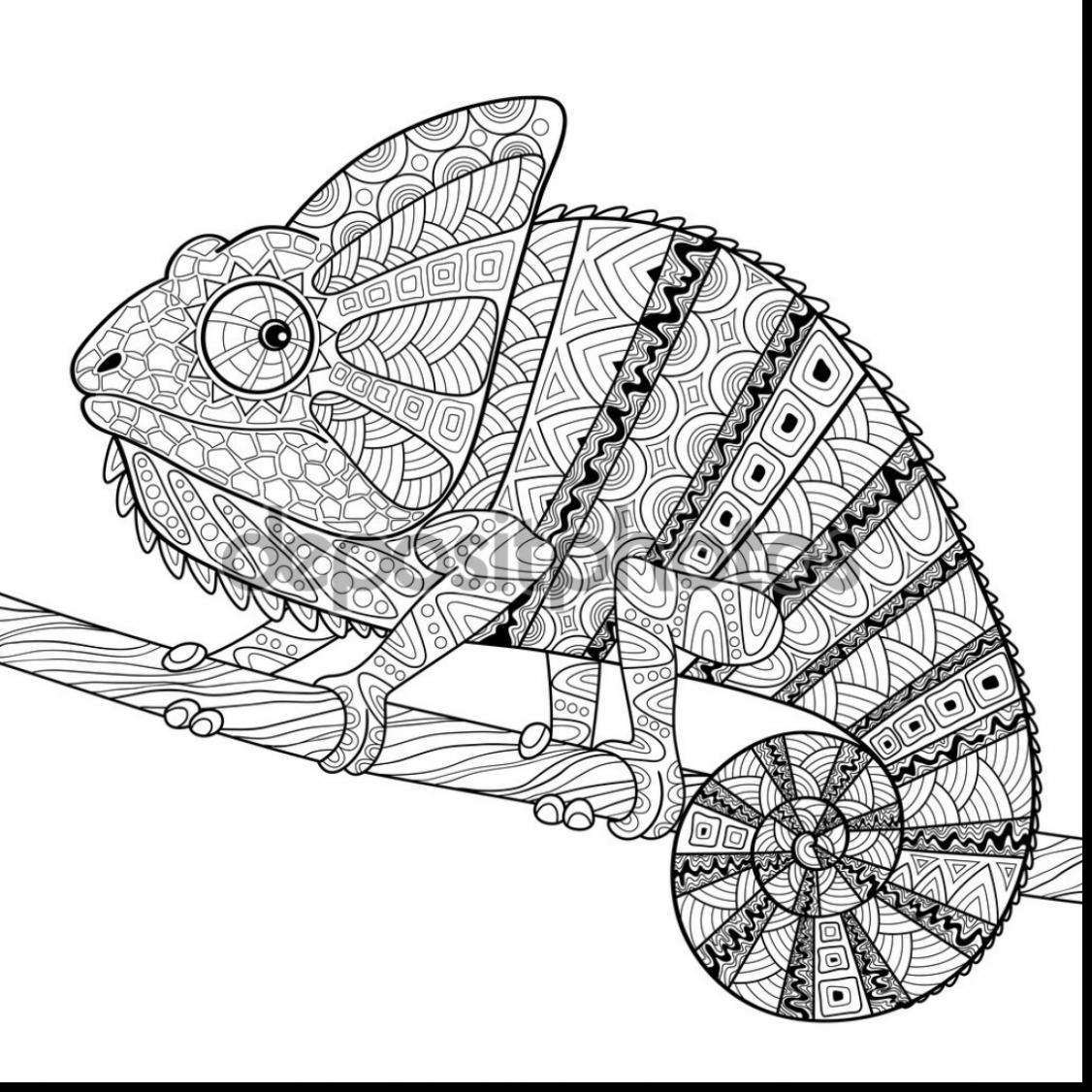 115 Chameleon Coloring Pages Printable 42