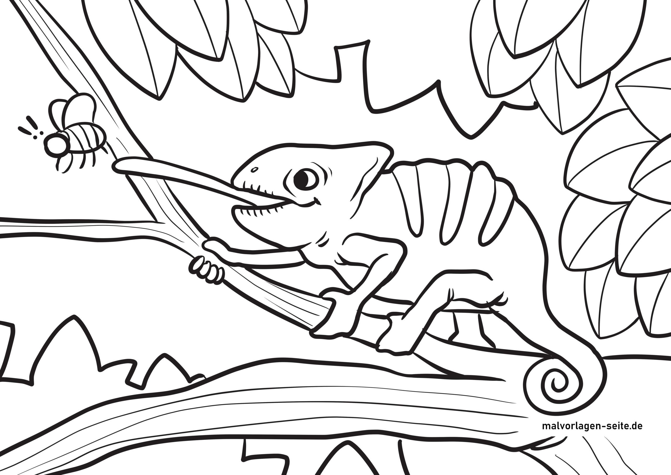 115 Chameleon Coloring Pages Printable 43