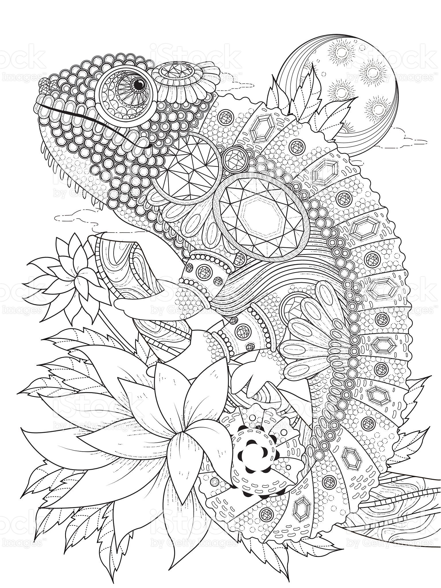 115 Chameleon Coloring Pages Printable 46