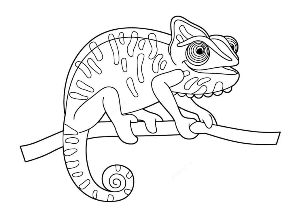 115 Chameleon Coloring Pages Printable 47