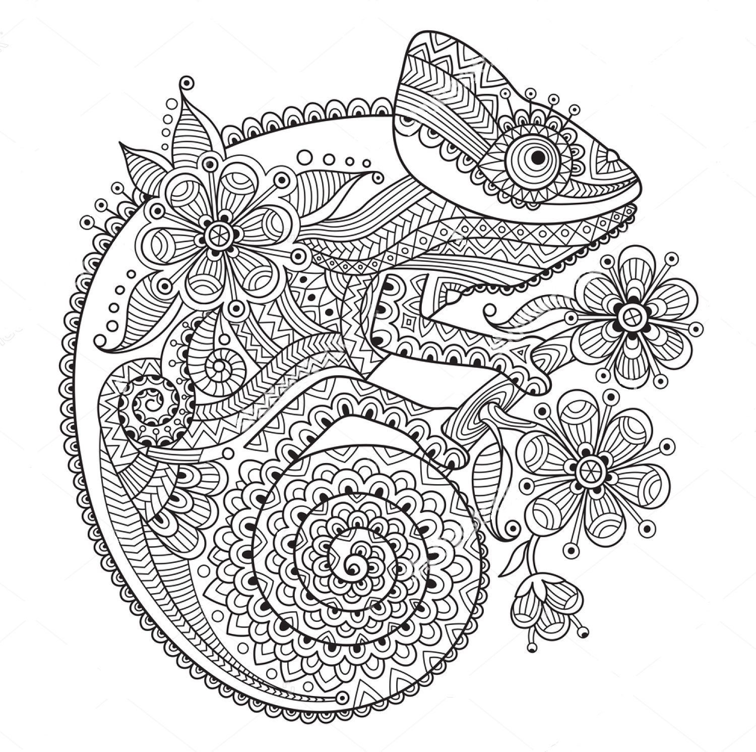 115 Chameleon Coloring Pages Printable 49