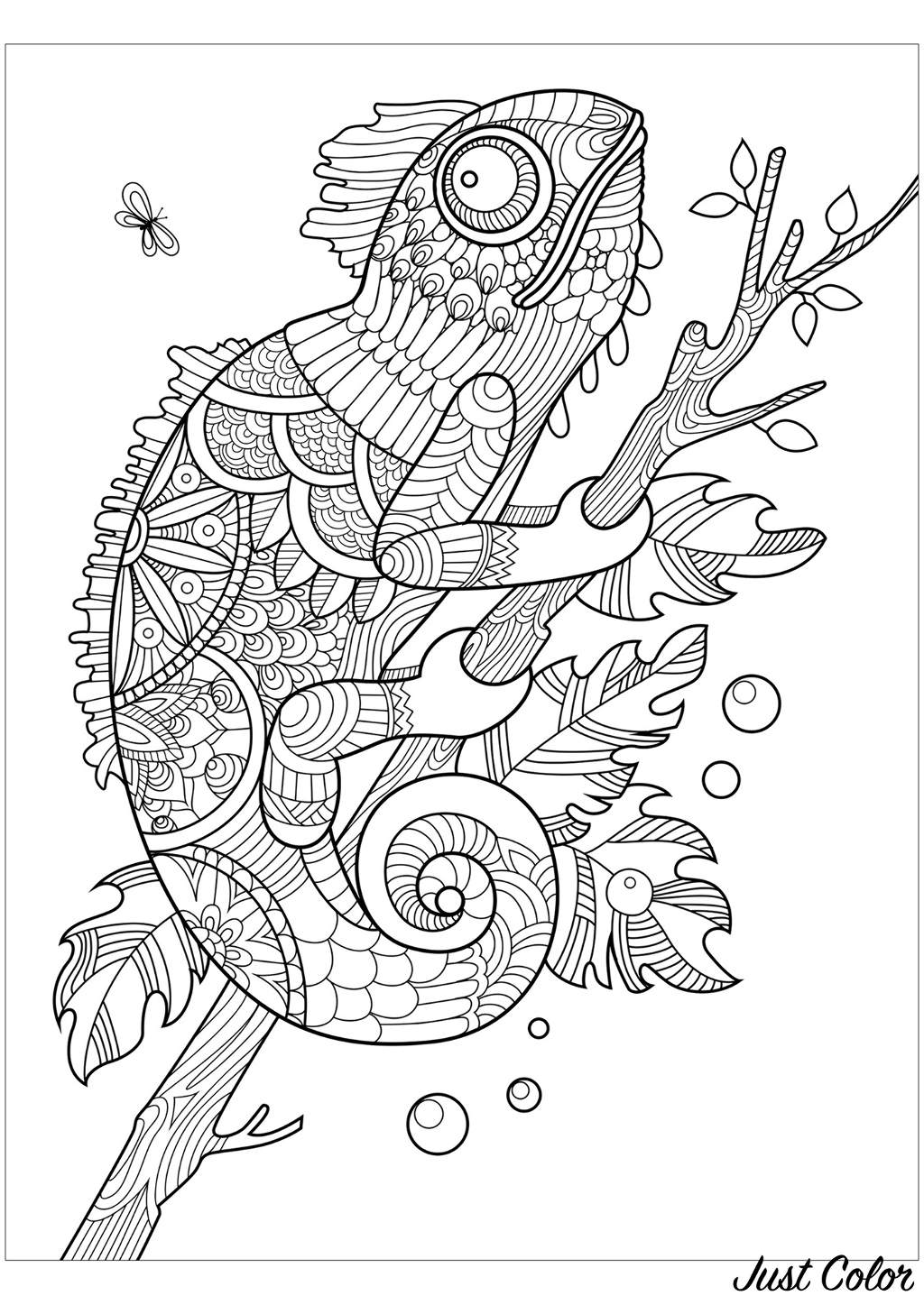 115 Chameleon Coloring Pages Printable 55