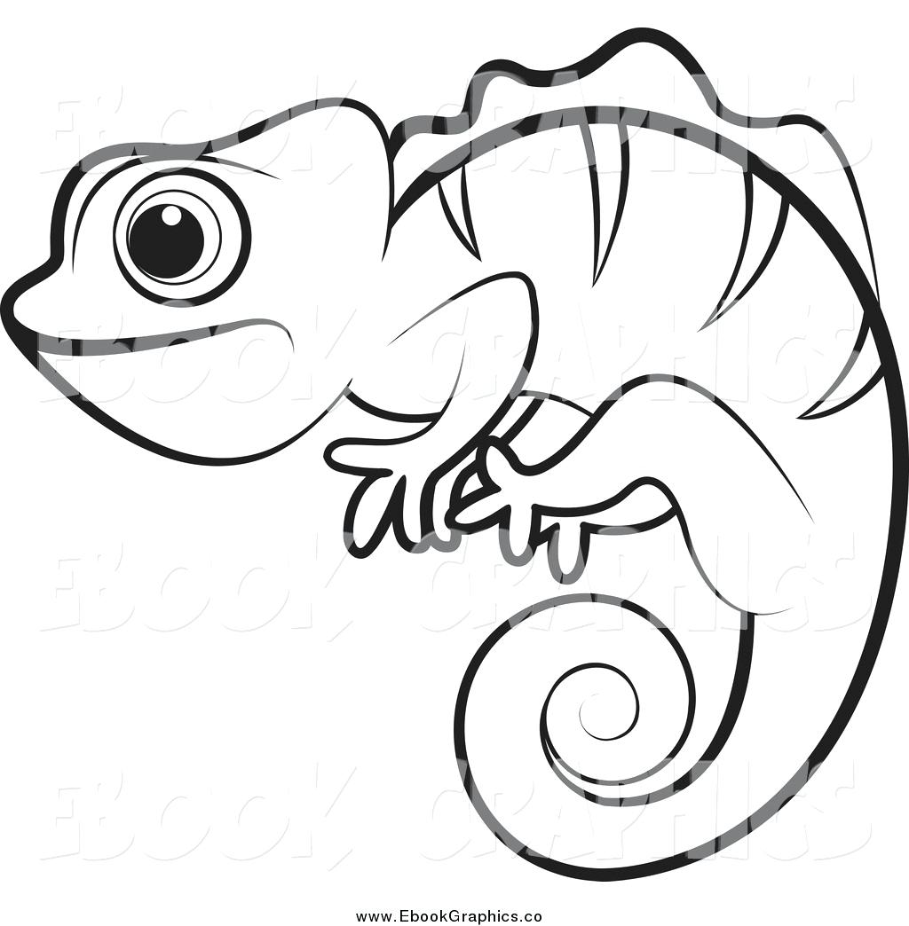 115 Chameleon Coloring Pages Printable 56