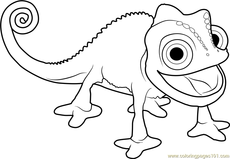 115 Chameleon Coloring Pages Printable 57