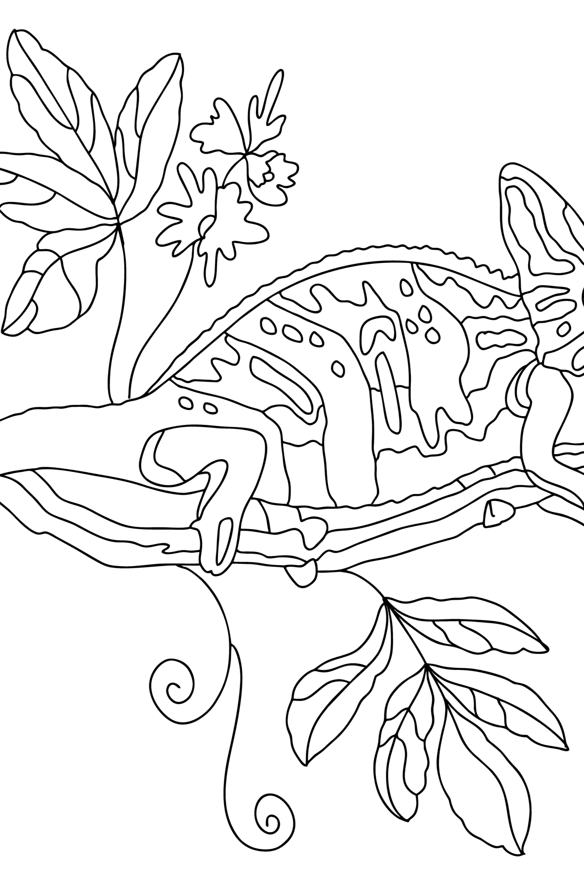 115 Chameleon Coloring Pages Printable 58