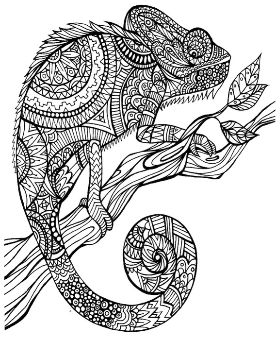 115 Chameleon Coloring Pages Printable 60