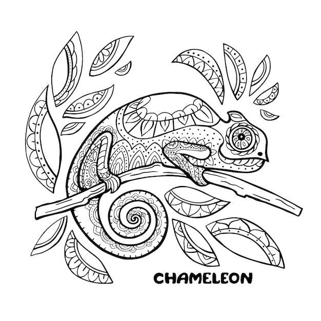 115 Chameleon Coloring Pages Printable 62