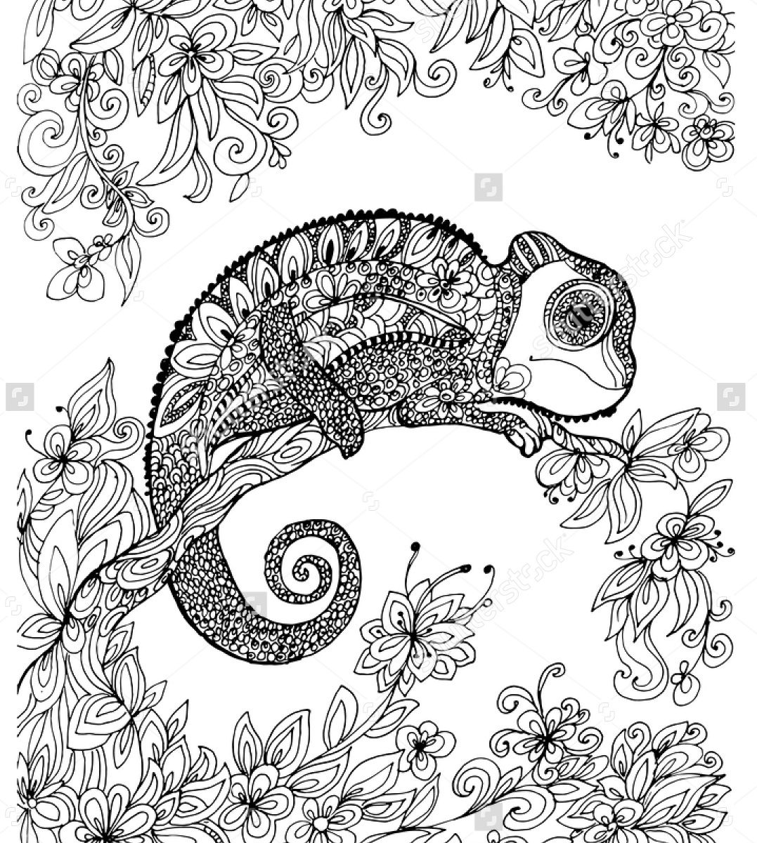 115 Chameleon Coloring Pages Printable 67