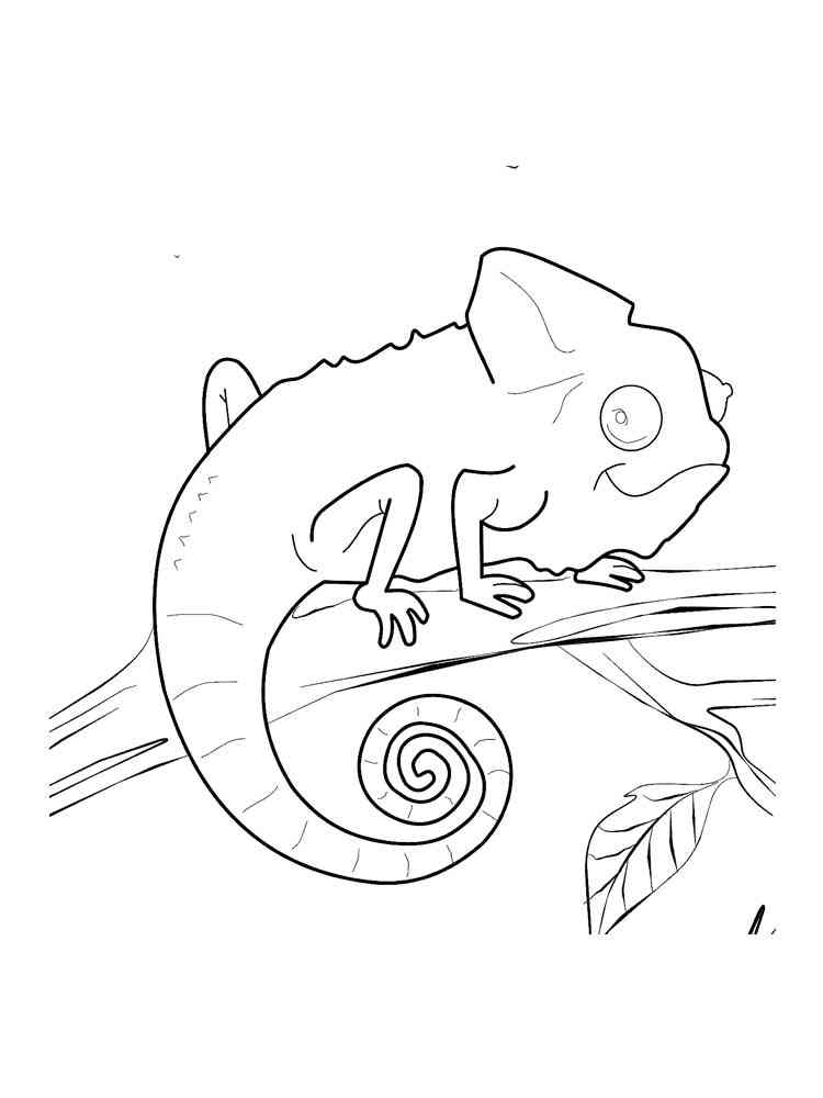 115 Chameleon Coloring Pages Printable 68