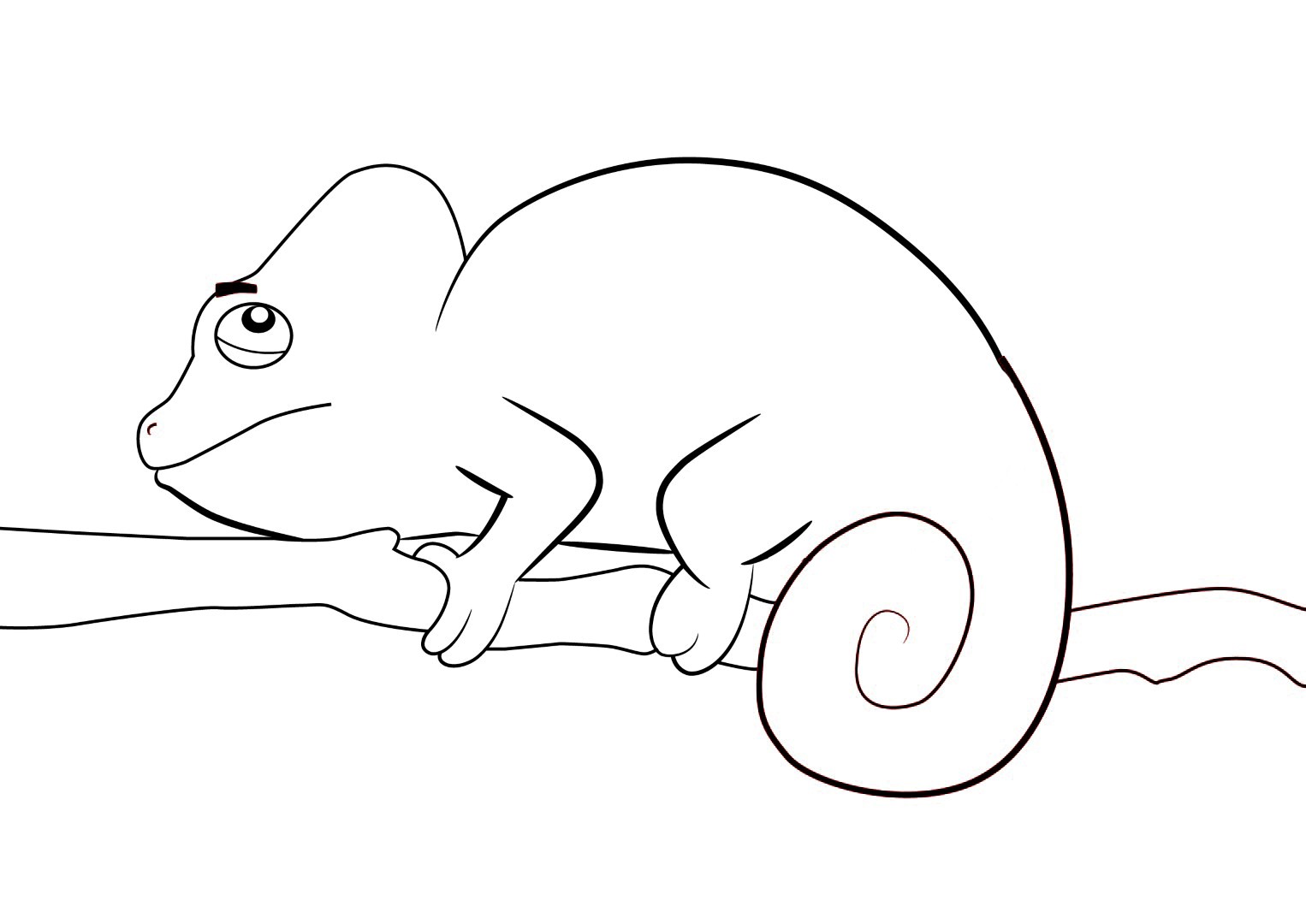 chameleon coloring pages printable jpg