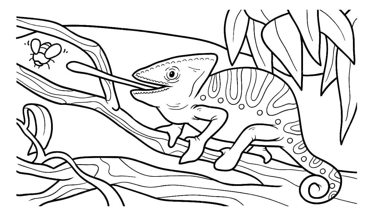 115 Chameleon Coloring Pages Printable 71