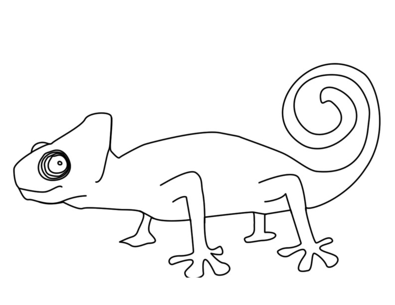 115 Chameleon Coloring Pages Printable 72