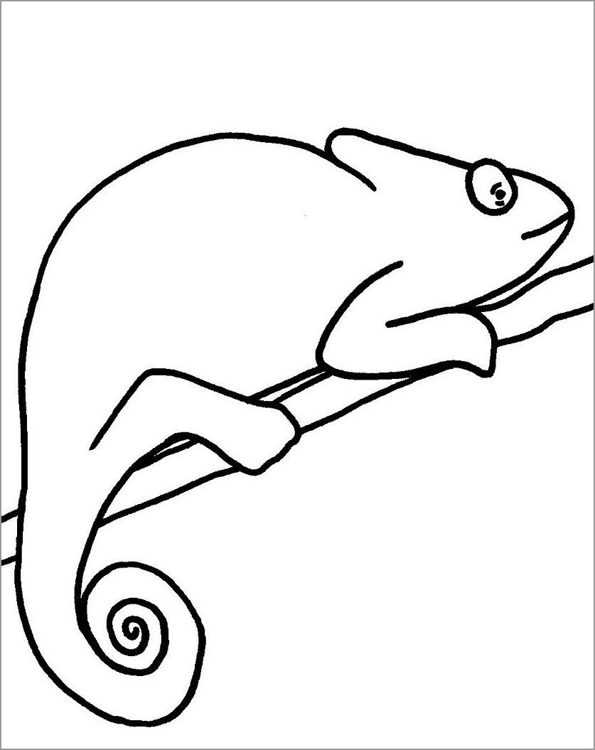 115 Chameleon Coloring Pages Printable 77