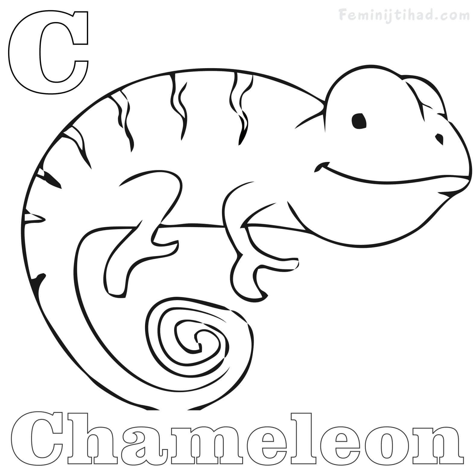 115 Chameleon Coloring Pages Printable 78