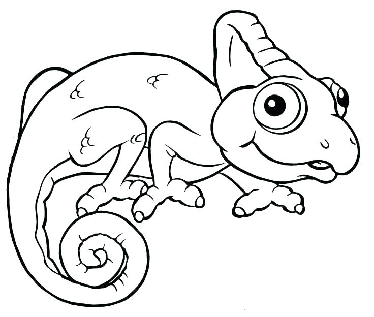 115 Chameleon Coloring Pages Printable 79