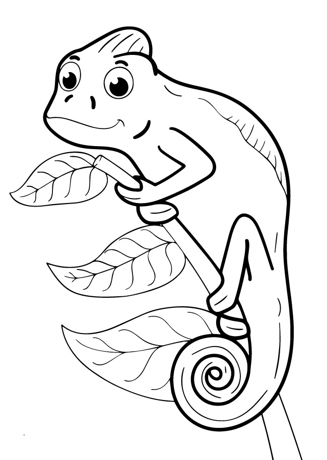 chameleon coloring pages printable jpg