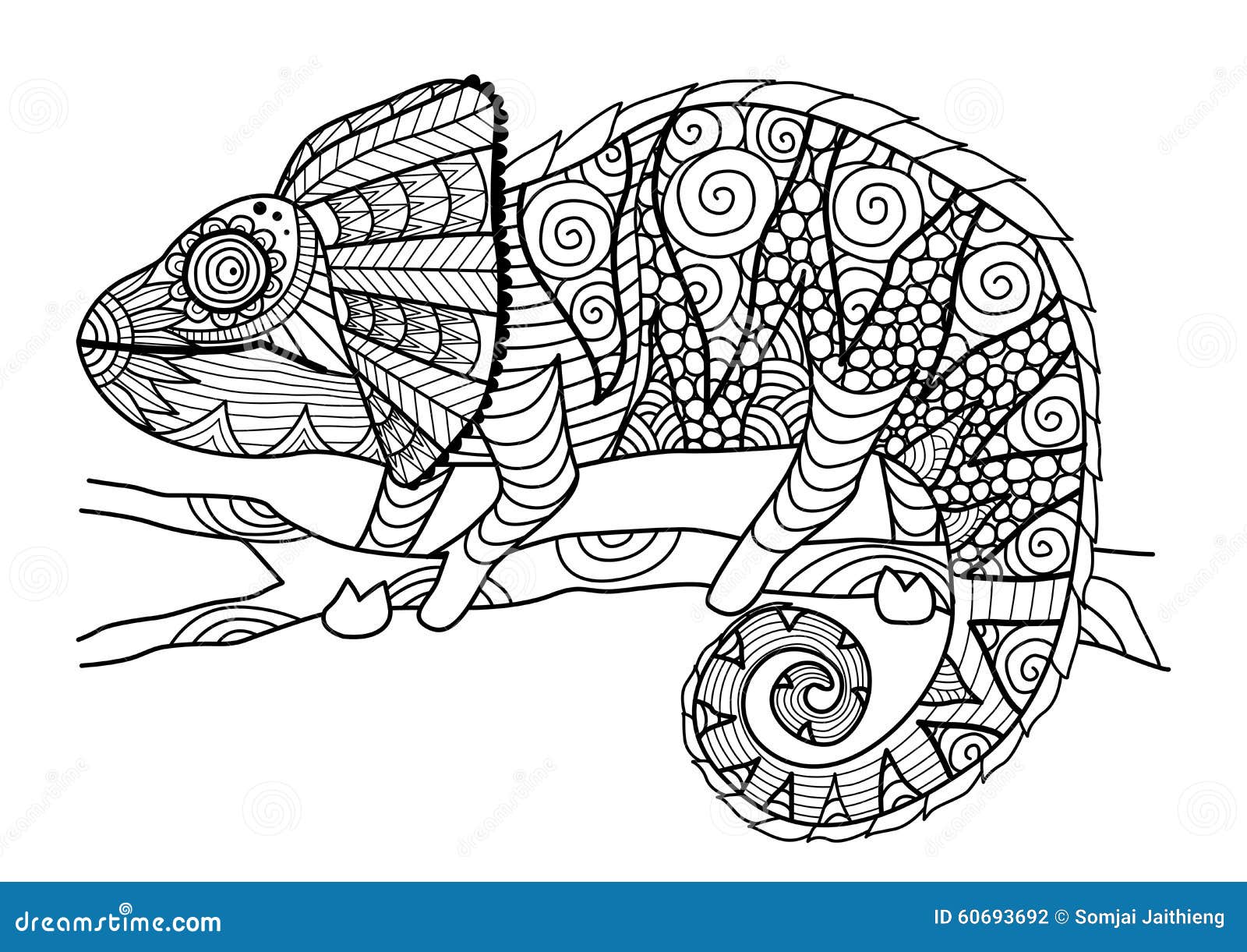 115 Chameleon Coloring Pages Printable 80