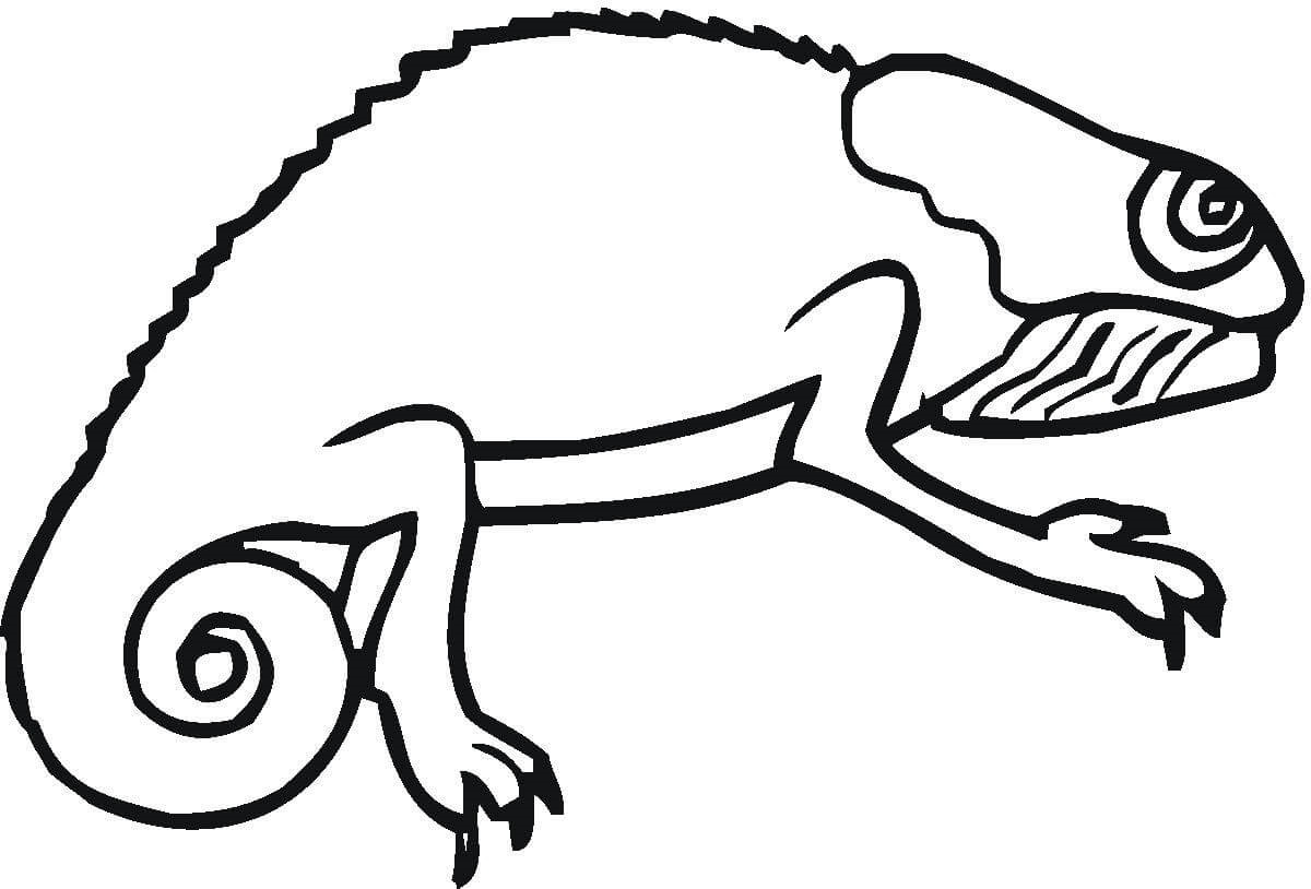 115 Chameleon Coloring Pages Printable 81