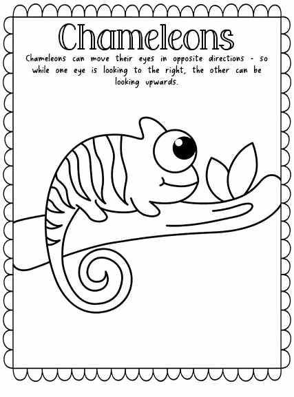 115 Chameleon Coloring Pages Printable 82