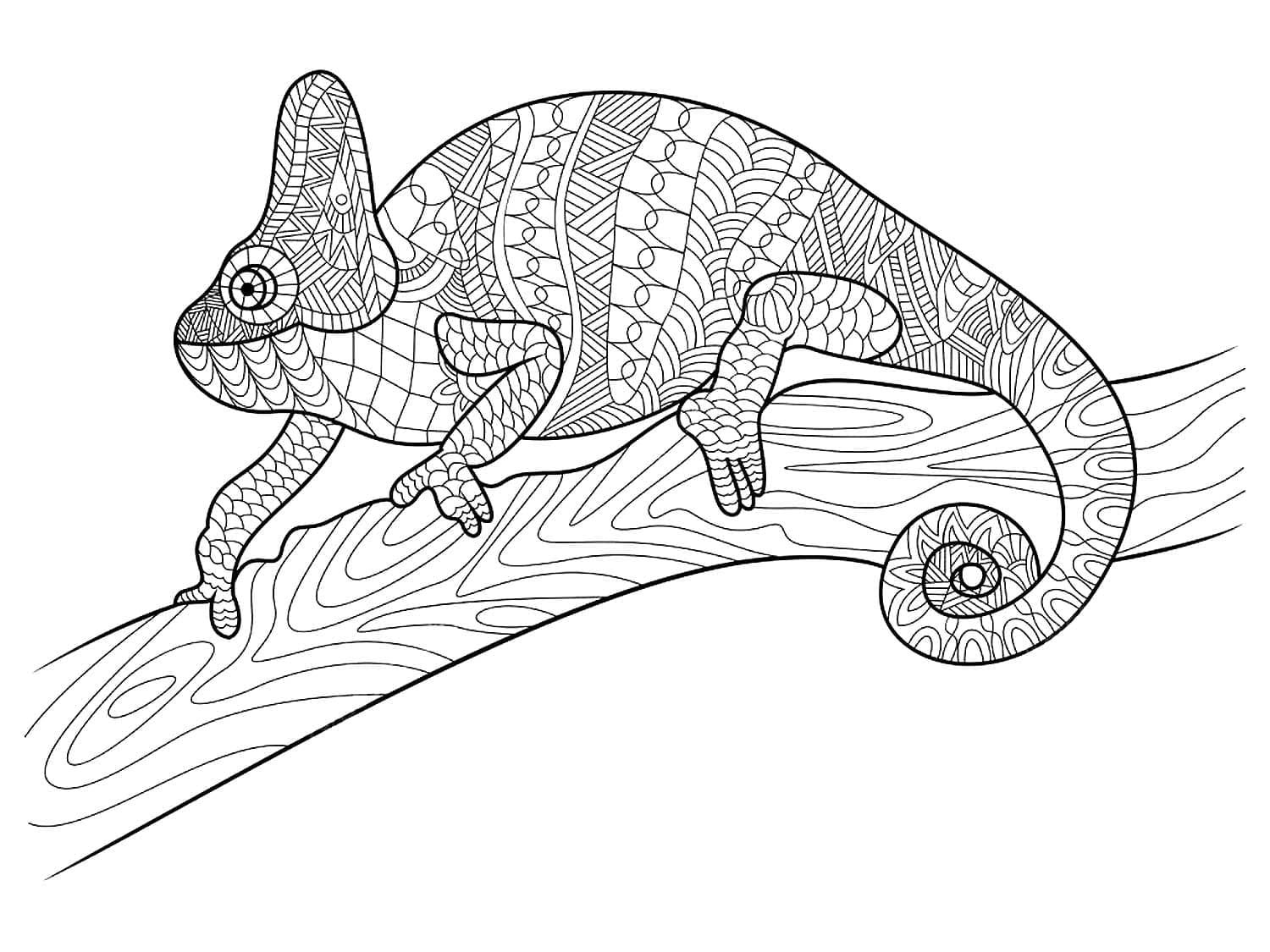 115 Chameleon Coloring Pages Printable 90