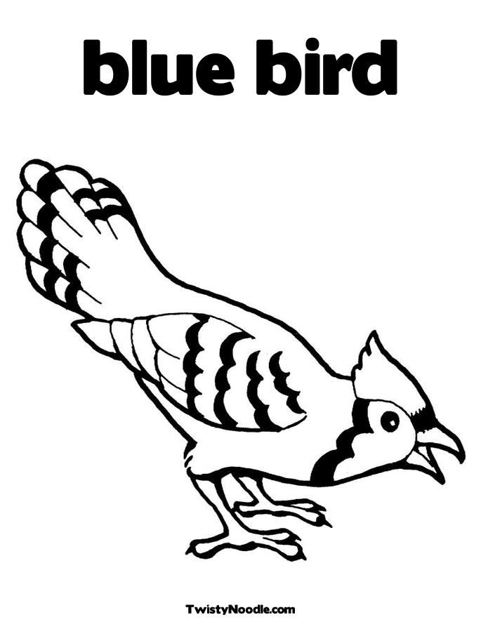 168 Bluebird Coloring Pages Printable 1