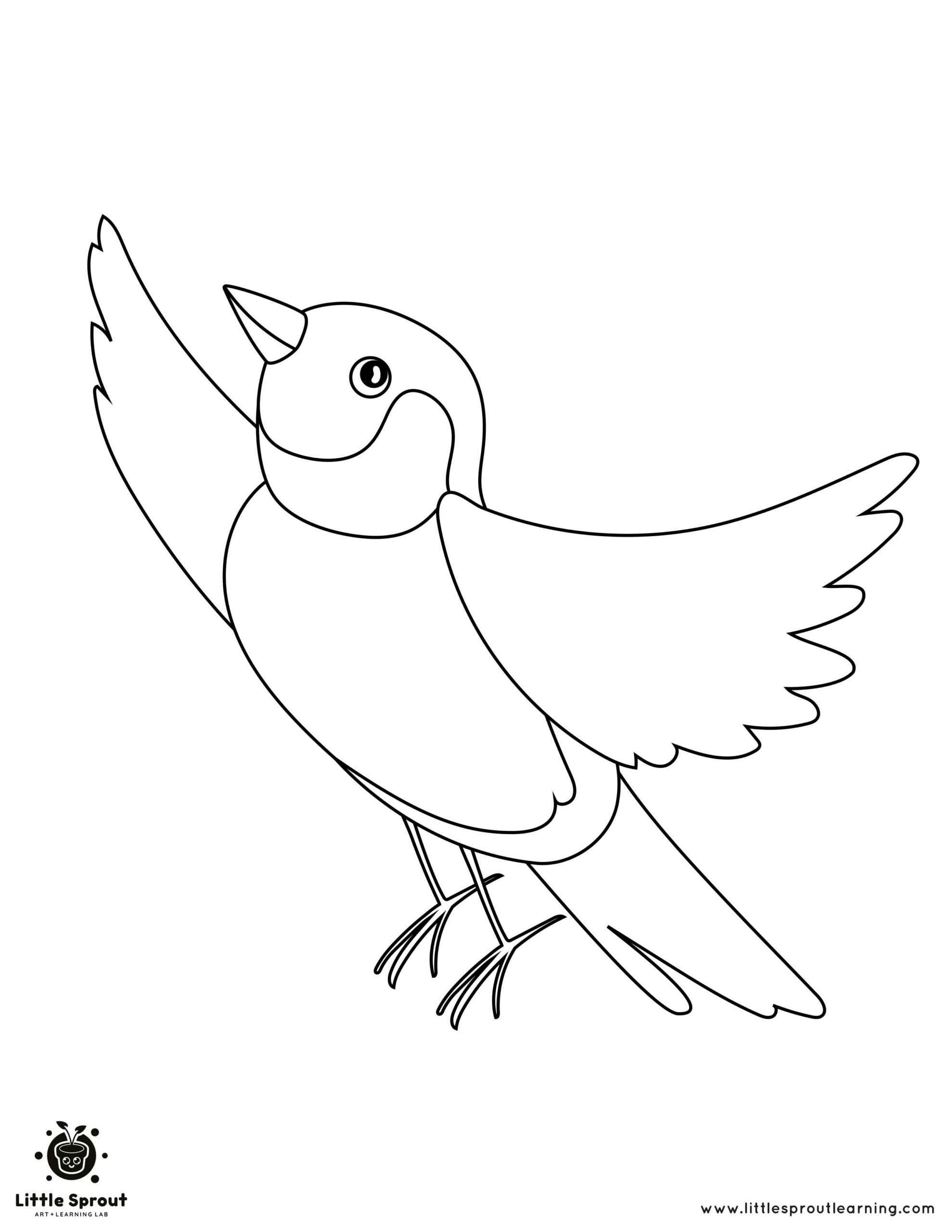 168 Bluebird Coloring Pages Printable 10