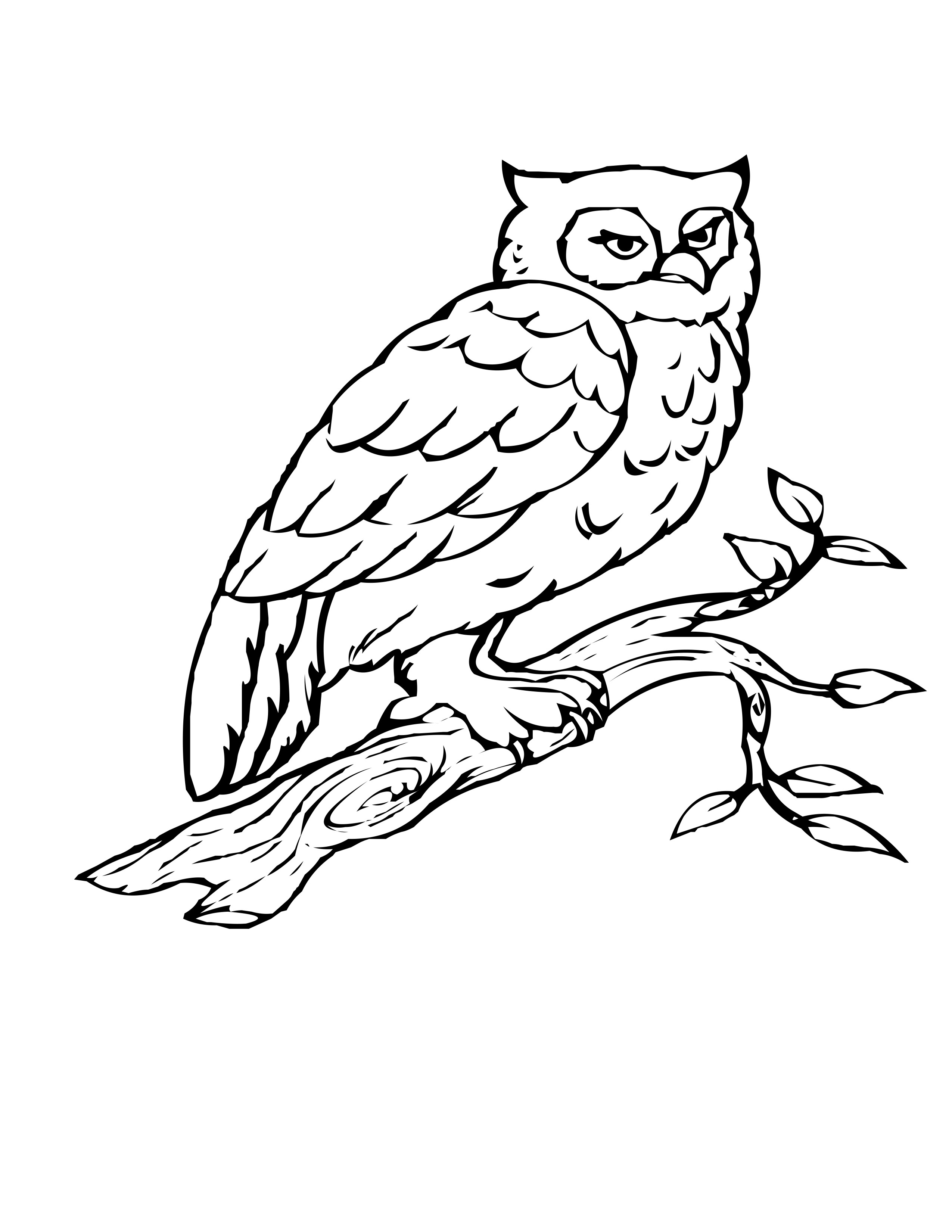 168 Bluebird Coloring Pages Printable 100