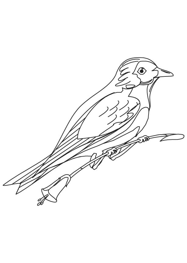 168 Bluebird Coloring Pages Printable 113