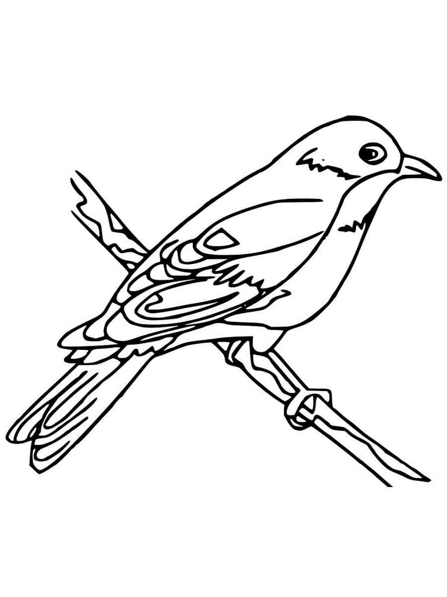 168 Bluebird Coloring Pages Printable 114