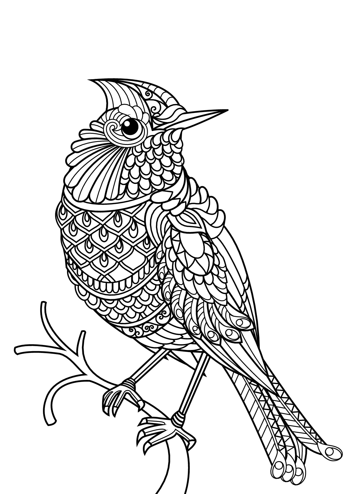 168 Bluebird Coloring Pages Printable 116