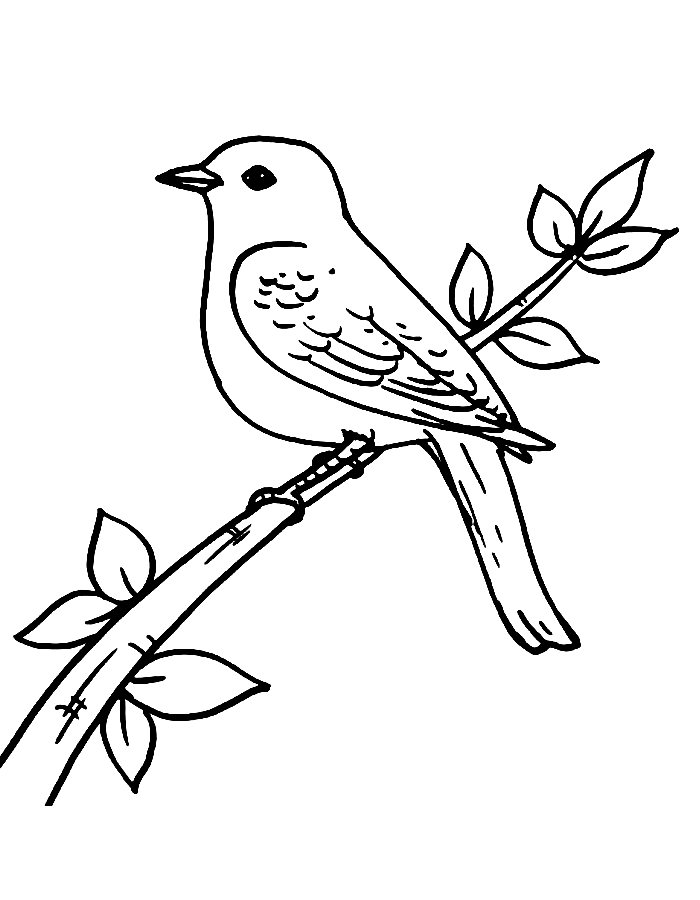 168 Bluebird Coloring Pages Printable 117