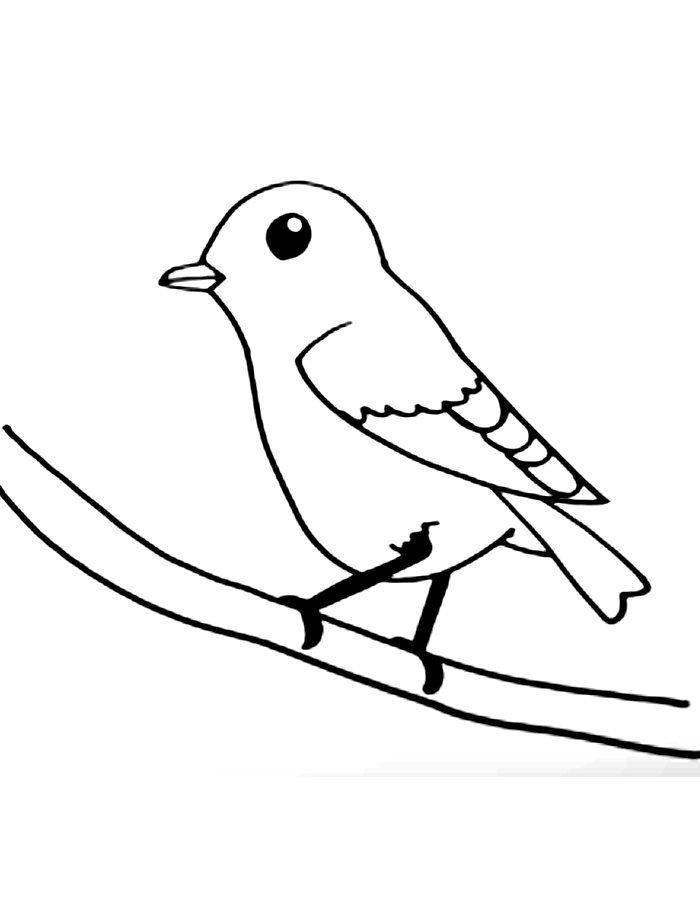 168 Bluebird Coloring Pages Printable 118