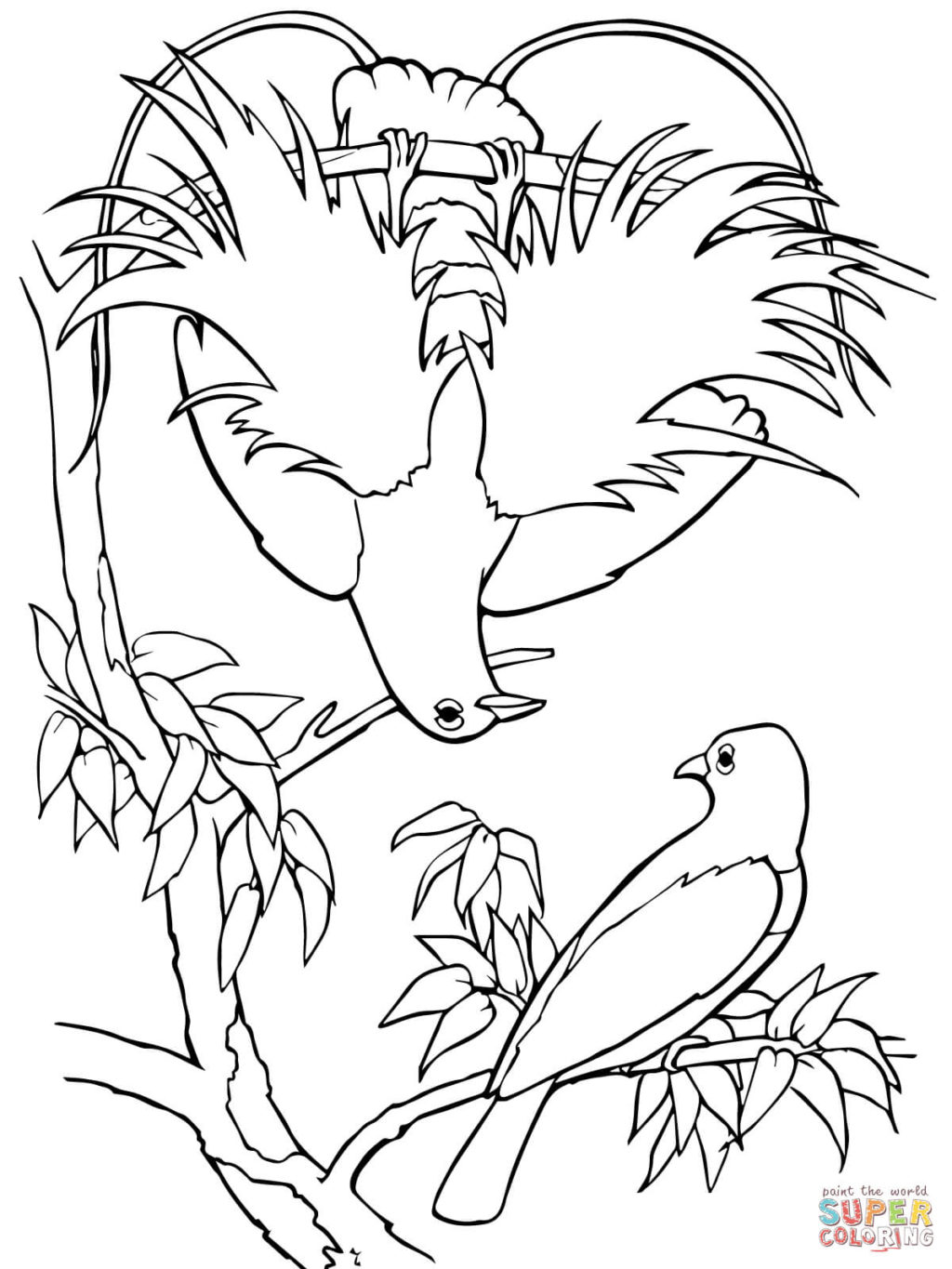 168 Bluebird Coloring Pages Printable 119