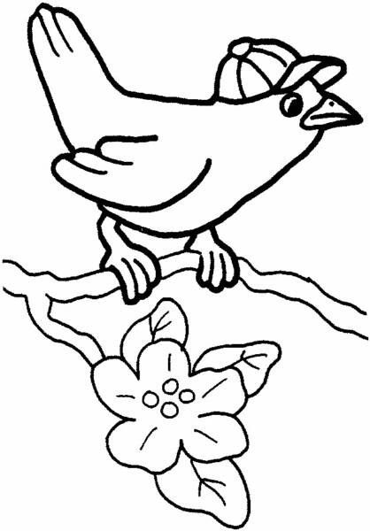 168 Bluebird Coloring Pages Printable 121