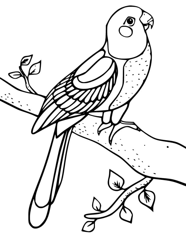 168 Bluebird Coloring Pages Printable 126