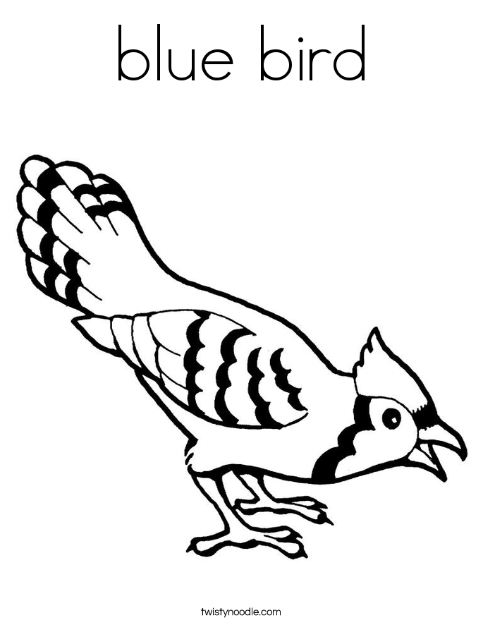 168 Bluebird Coloring Pages Printable 132