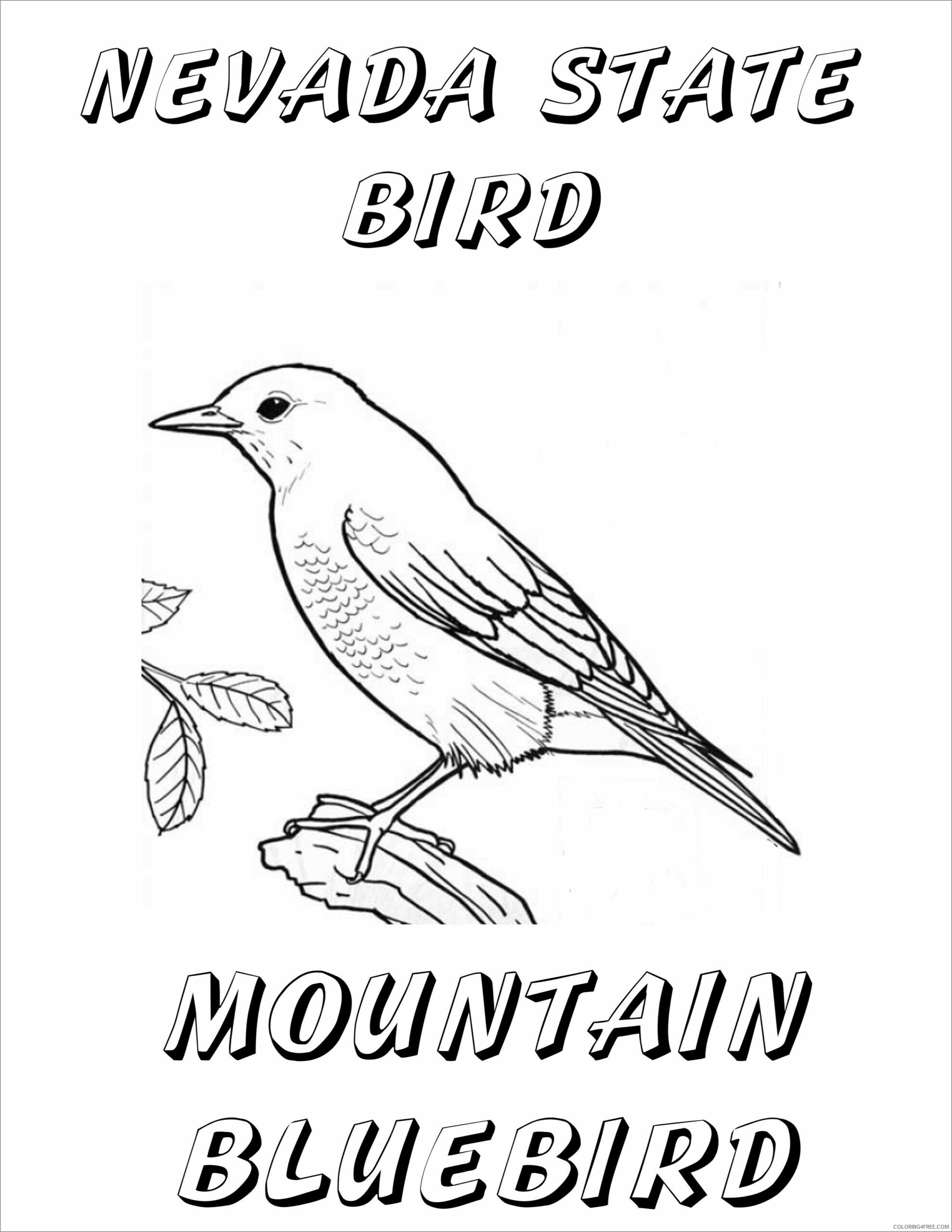 168 Bluebird Coloring Pages Printable 133