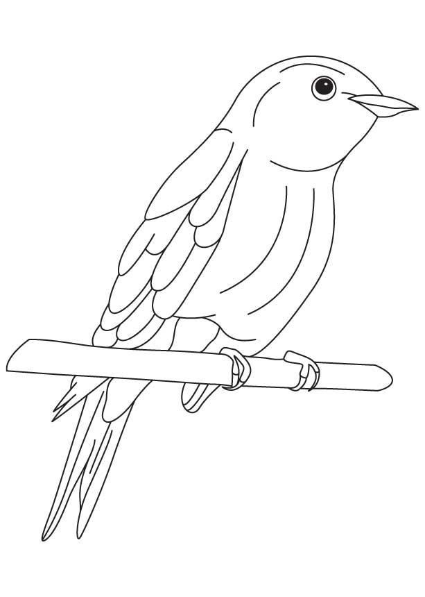 168 Bluebird Coloring Pages Printable 136