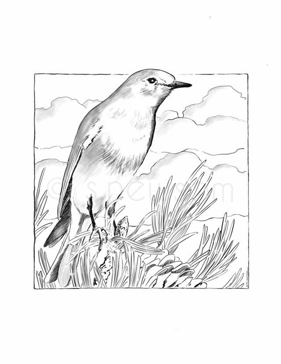 168 Bluebird Coloring Pages Printable 138