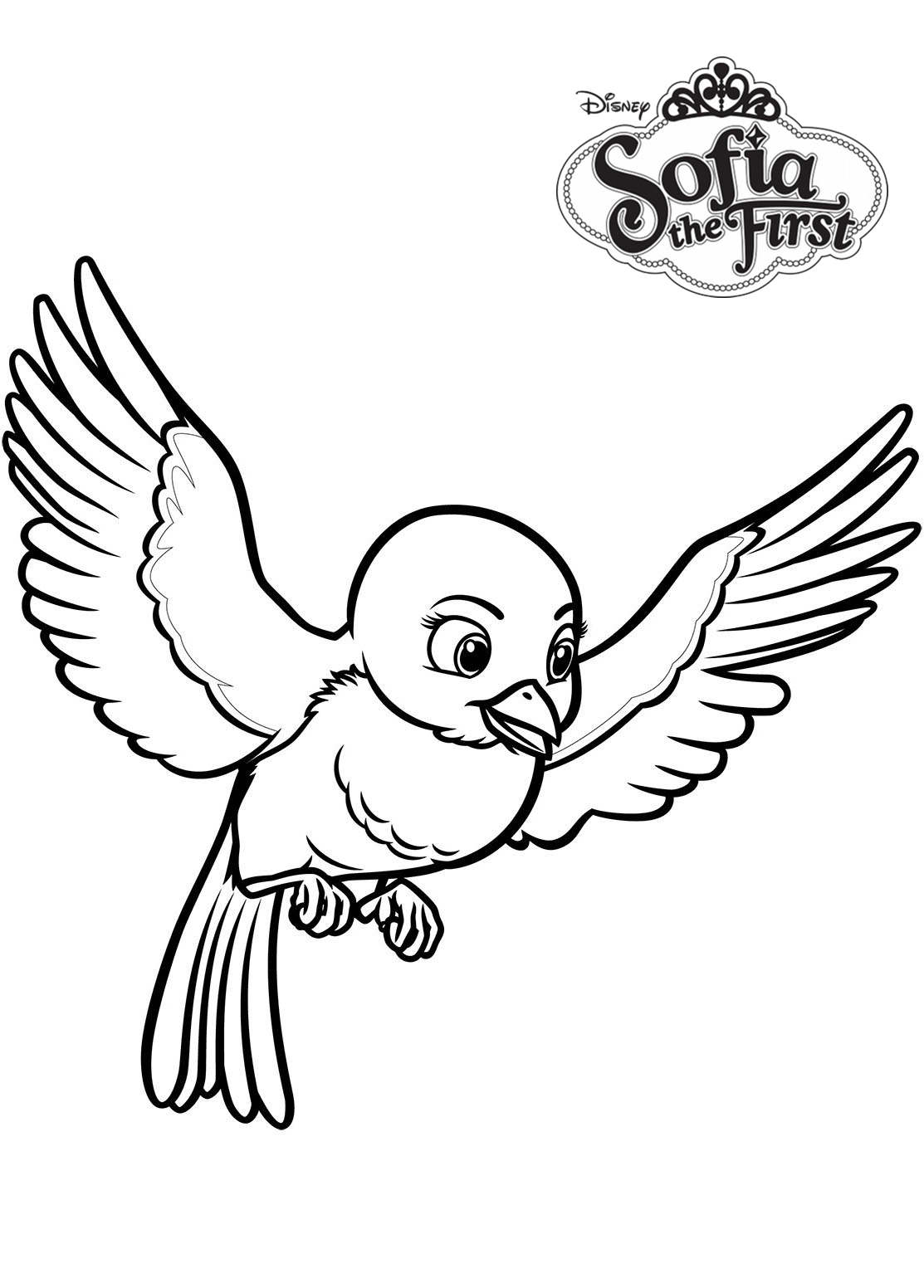 bluebird coloring pages printable jpg