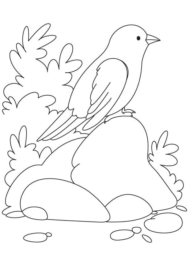 168 Bluebird Coloring Pages Printable 14