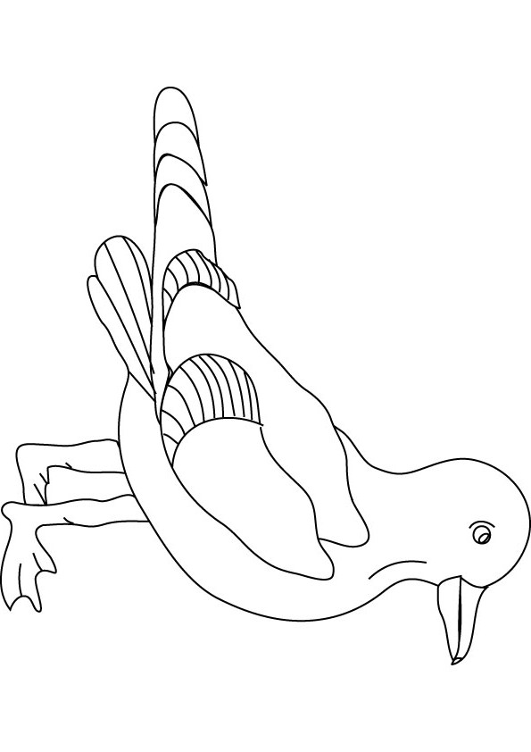 bluebird coloring pages printable jpg