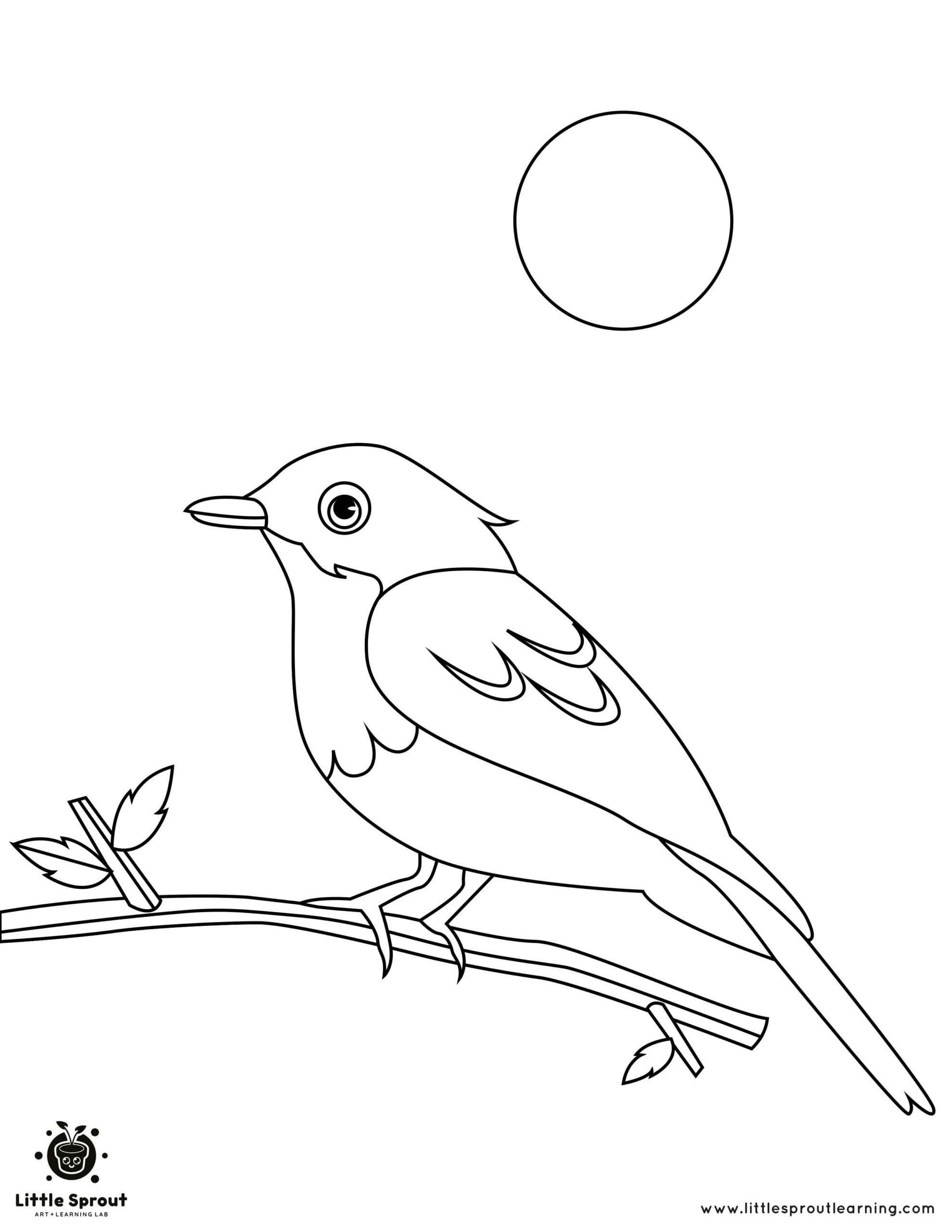 168 Bluebird Coloring Pages Printable 157