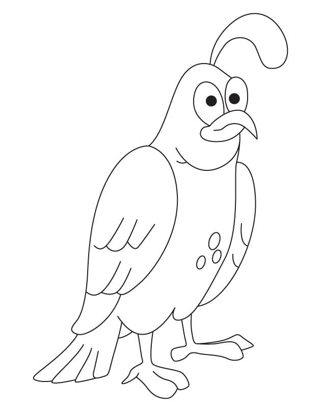 168 Bluebird Coloring Pages Printable 19