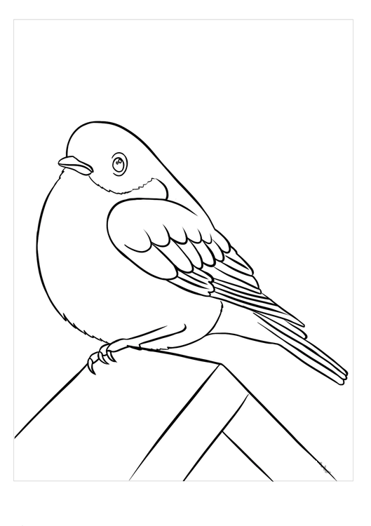 168 Bluebird Coloring Pages Printable 23