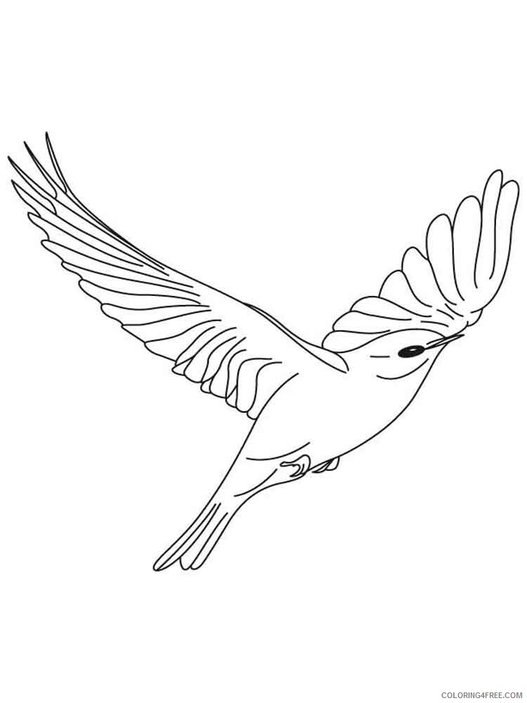 168 Bluebird Coloring Pages Printable 25