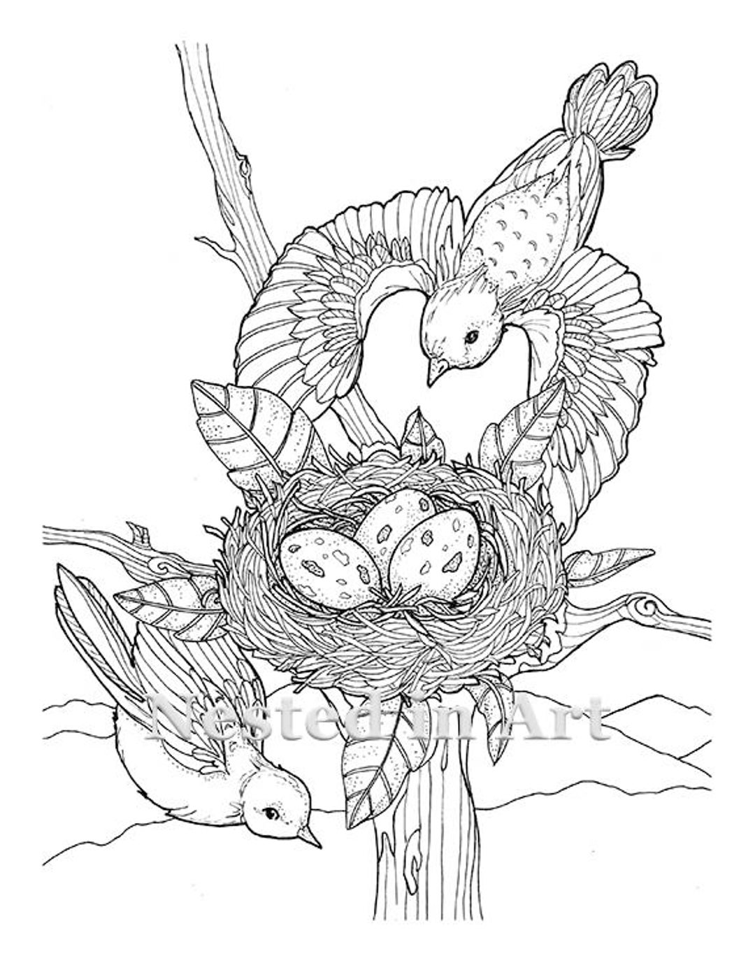 168 Bluebird Coloring Pages Printable 28