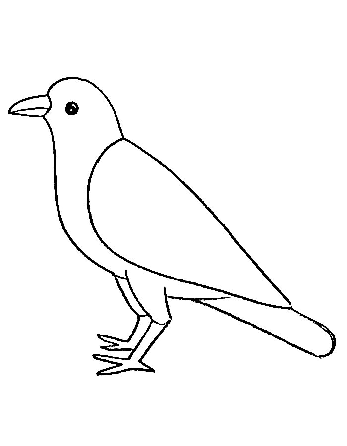 168 Bluebird Coloring Pages Printable 31