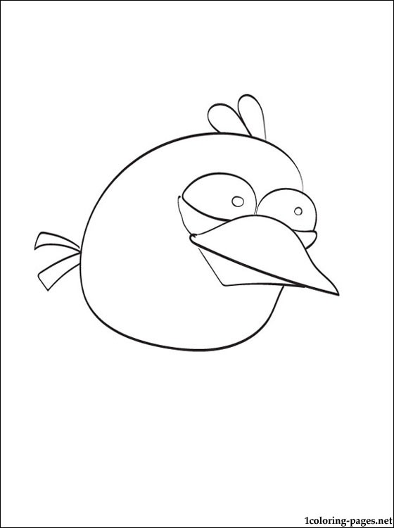 168 Bluebird Coloring Pages Printable 38