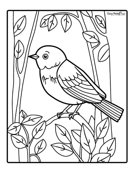 168 Bluebird Coloring Pages Printable 4